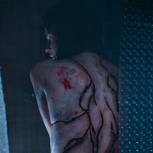 Foto Alguém Entre Nós