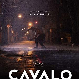 Foto Cavalo