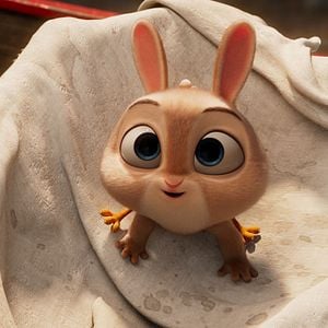 Foto Frangoelho e o Hamster das Trevas