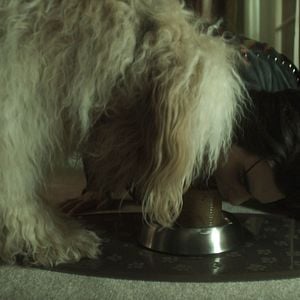 Foto Vingança Sabor Cereja