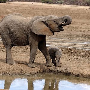 Foto O Mundo dos Animais