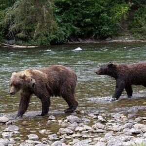 Foto O Mundo dos Animais