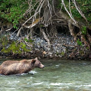 Foto O Mundo dos Animais
