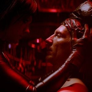 Foto Dogs Don't Wear Pants