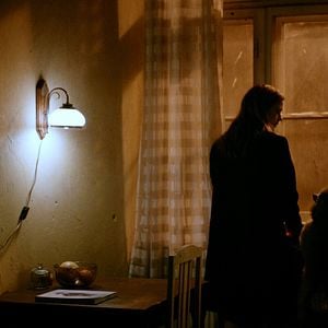 Foto Dogs Don't Wear Pants