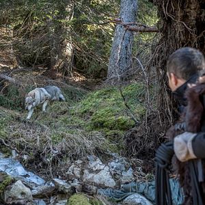 Foto Você Radical - Amnésia