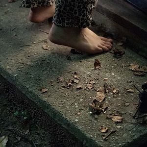 Foto O Homem das Castanhas