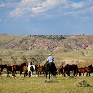 Foto Meus Heróis Eram Cowboys