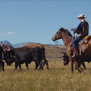 Foto Meus Heróis Eram Cowboys