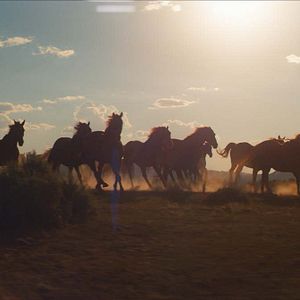 Foto Meus Heróis Eram Cowboys