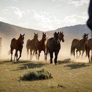Foto Meus Heróis Eram Cowboys