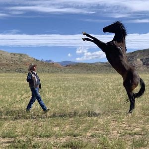 Foto Meus Heróis Eram Cowboys