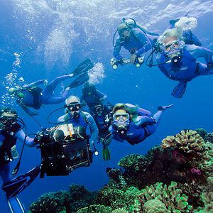 Foto Wonders of the Sea 3D