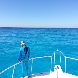 Foto Wonders of the Sea 3D