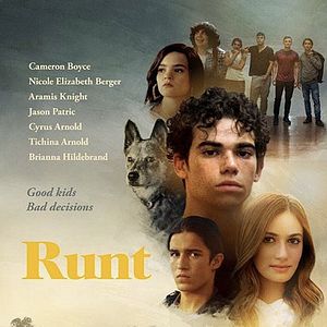 Foto Runt