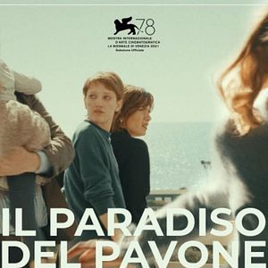 Foto Il paradiso del pavone