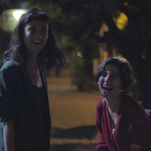 Foto Os Pássaros de Massachusetts