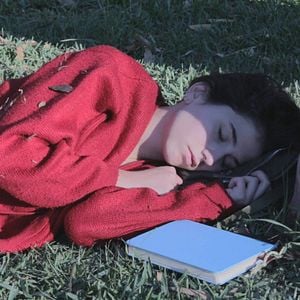 Foto Os Pássaros de Massachusetts