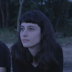 Foto Os Pássaros de Massachusetts