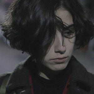 Foto Os Pássaros de Massachusetts