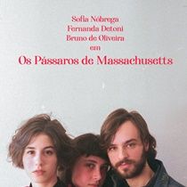 Foto Os Pássaros de Massachusetts