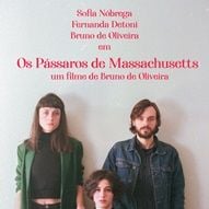 Foto Os Pássaros de Massachusetts