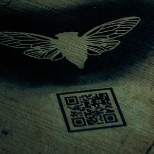 Foto Dark Web: Cicada 3301