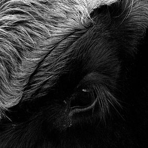 Foto Her Name Was Europa