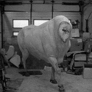 Foto Her Name Was Europa