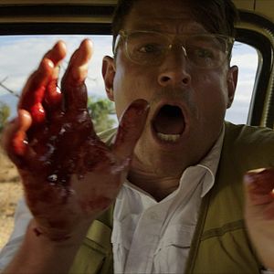 Foto Espécie Ameaçada