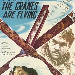 Foto Quando Voam as Cegonhas