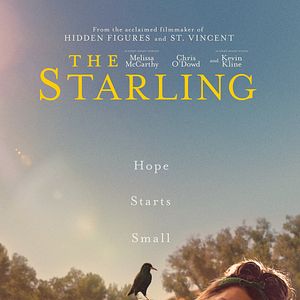 Foto Um Ninho Para Dois