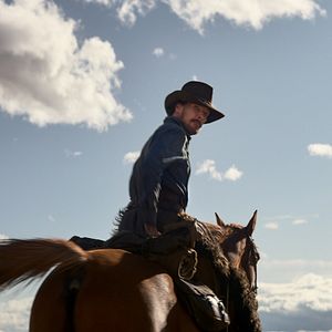 Foto Ataque dos Cães