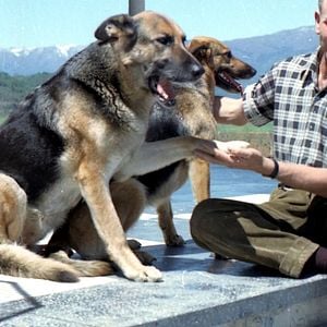 Foto Colônia Dignidade: Uma Seita Nazista no Chile