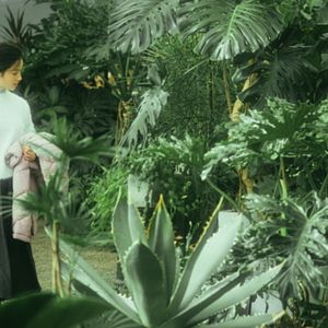 Foto Farewell, My Hometown