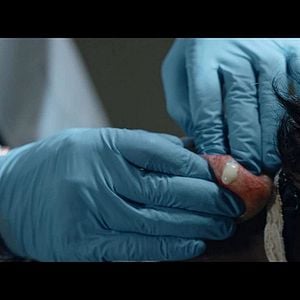 Foto Criatura Maligna