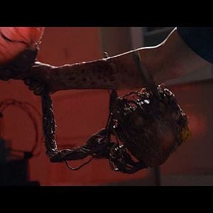 Foto Criatura Maligna