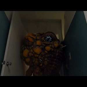 Foto Criatura Maligna