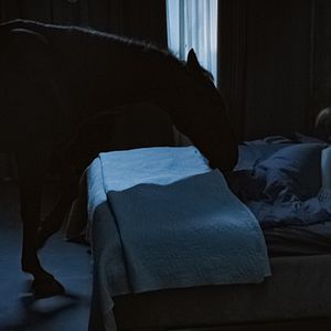 Foto A Mão do Demônio