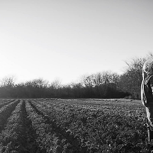 Foto O Cão que Não se Cala