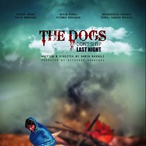 Foto Os Cães Não dormiram Ontem à Noite