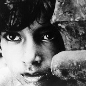 Foto A Canção Da Estrada