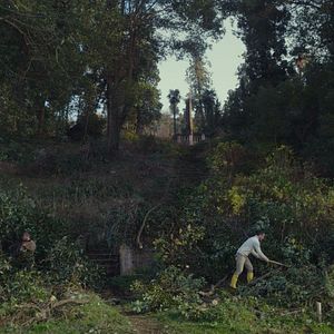 Foto Domando o Jardim