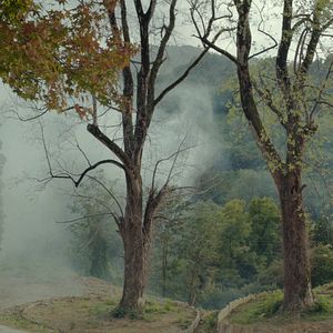 Foto Domando o Jardim