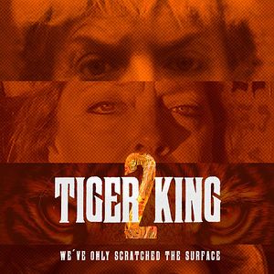 Foto A Máfia dos Tigres