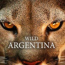 Foto Argentina Selvagem