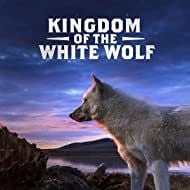 Foto o Reino do Lobo-Branco