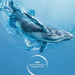 Foto Um Planeta Perfeito no discovery+