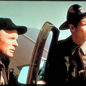 Foto Trocas Macabras