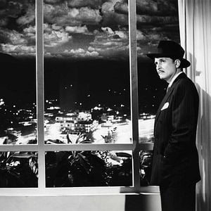 Foto Na Palma de Tua Mão